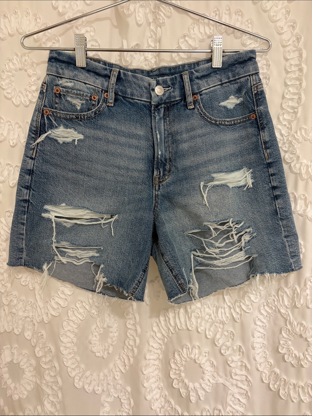 American Eagle Strigid Curvy Relaxed Shorts
